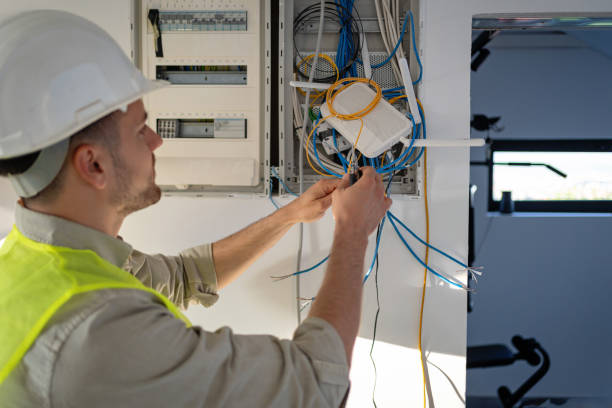 Best Electric Panel Repair  in Barnesville, MN